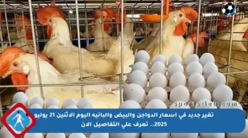 تغير جديد في أسعار الدواجن والبيض والبانية اليوم الاثنين 21 يوليو 2025.. تعرف على التفاصيل الآن